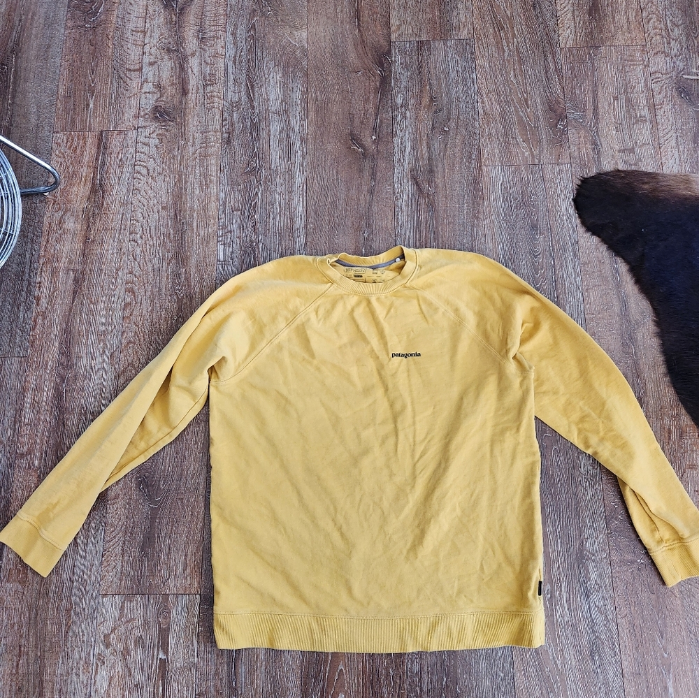 Patagonia Sweatshirt